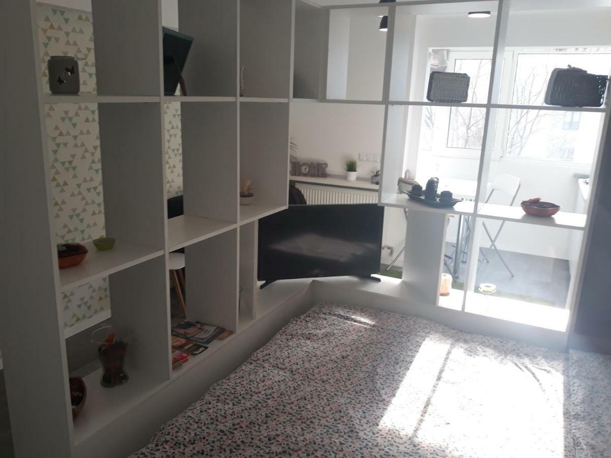 Cozy Central Studio ブカレスト エクステリア 写真